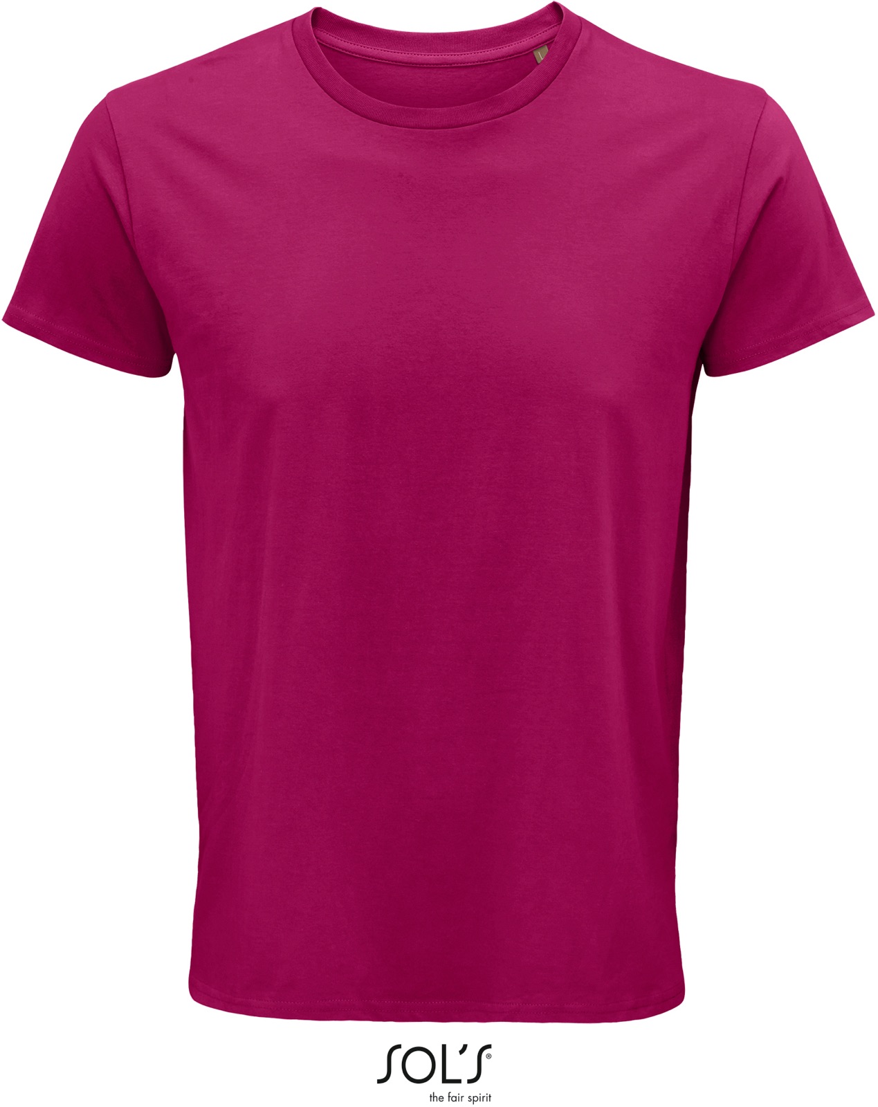 Fuchsia
