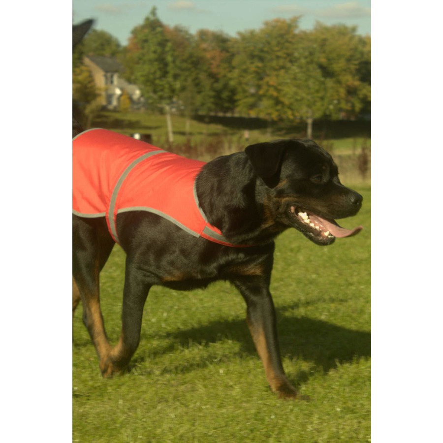 Hi Vis Dog's Vest – Bild 2